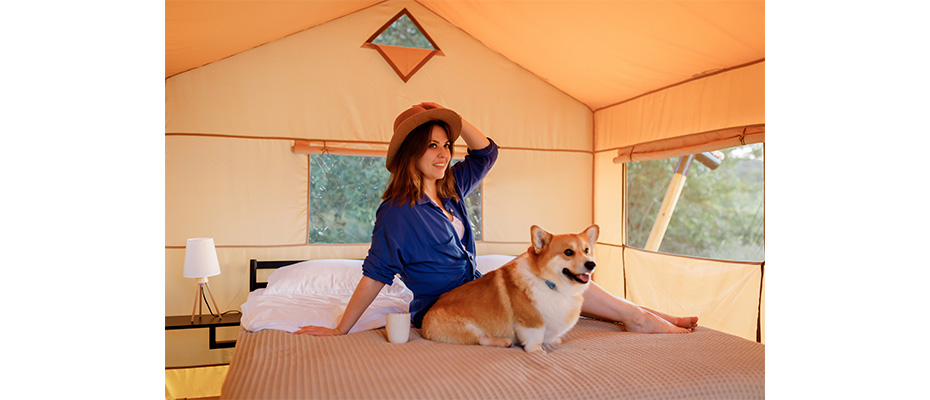 Hotel 3 stelle pet friendly: la vacanza perfetta con il tuo cane